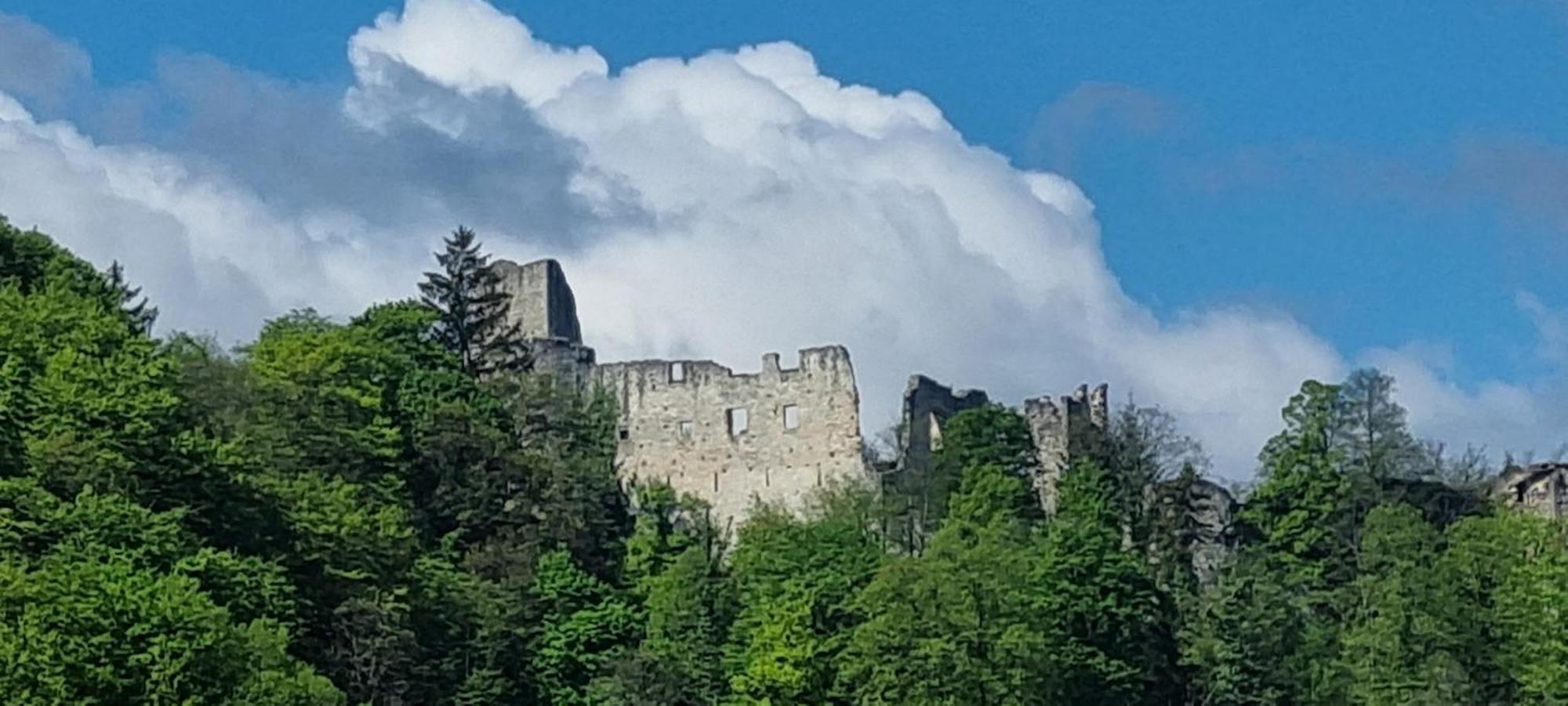 Studio Apartment Old Town Castle Самобор Екстериор снимка